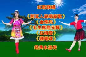 红歌联唱《阿瓦人民唱新歌》《金珠玛》《红梅赞》《珊瑚颂》视频封面