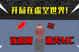 开局出生在虚空世界，基岩的下面！周围都是虚空，该如何生存！视频封面