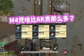 萌神九尾：M4凭啥比AK贵那么多？本想买一把试试，不曾想出现意外视频封面