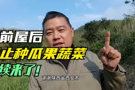房前屋后禁止种瓜果蔬菜后续来了！视频封面
