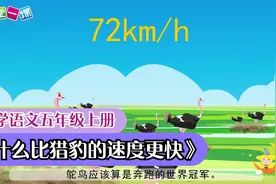 小学语文课文动画 五上《什么比猎豹的速度更快》（一堂一课APP）视频封面