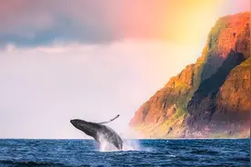 【静心美景】同是风华正茂，怎甘他人之下。视频封面