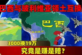 3000换19万，巴西与玻利维亚领土互换，究竟是赚是赔？视频封面