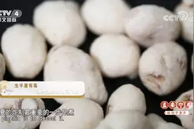 半夏这种药材真神奇：生半夏有毒，不同方法炮制入药后疗效各不同视频封面
