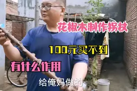 10年花椒木做2根拐杖，全身都是宝能活血按摩，保健作用真不小视频封面