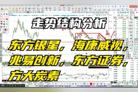 东方银星，海康威视，兆易创新，东方证券，方大炭素走势分析视频封面