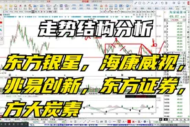 东方银星，海康威视，兆易创新，东方证券，方大炭素走势分析视频封面