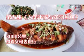 88元一斤的黄河大鲤鱼秒吃光，3000公里带着父母自驾旅行第五集视频封面