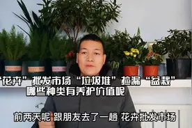 “花卉”批发市场“垃圾堆”捡漏“盆栽”哪些种类有养护价值呢视频封面