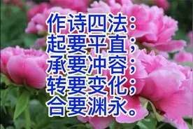 字斟句酌  诗词检测软件的学习体会  淡如竹视频封面
