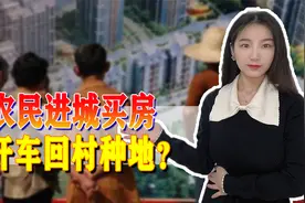 建议“农民进城买房”专家被多平台禁言，网友：建议不要建议视频封面