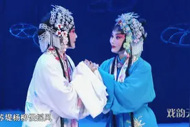 团圆，豫剧祥符调《白蛇传》选段 吴素真、杨历明、杜永真视频封面