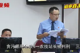 贪污、挪用公款，三明大田一农技站长被判刑视频封面