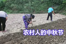 93年农村小伙回村5年，和父母一起下地务农，中秋节是这样过的视频封面