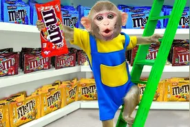 猴哥逛超市买神马？当然是MM巧克力豆了视频封面