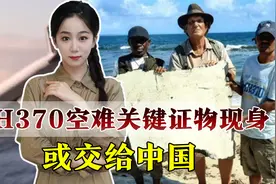 MH370空难即将真相大白？关键证物或移交中国调查视频封面
