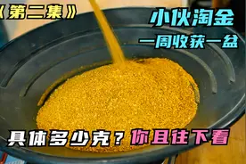 小伙一周收获一盆黄金，具体多少克？你且往下看！《纪录片》视频封面