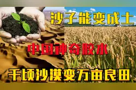 中国神奇胶水：沙子变土千顷沙漠变万亩良田，外国羡慕求技术！视频封面