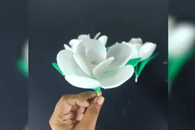 创意生活手工：用废旧泡沫纸当材料，制作假花和蝴蝶，太有创意了视频封面