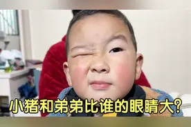 小猪和弟弟比谁的眼睛大？婆婆说二宝像静静，小猪不服输来比比看视频封面