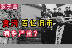 张子善贪污百亿旧币，主席下令定要处决他，这件事到底有多严重？视频封面