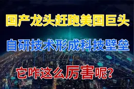 自研核心技术！国产龙头赶跑美国巨头，吸金160亿，跻身全球第三视频封面