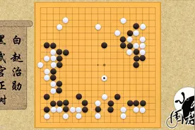 宇宙流VS地铁流 赵治勋深入武宫正树100目大模样，能否洗活？视频封面