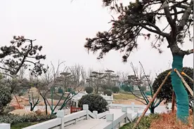 山东省济南华山公园，华山湖南岸，一大片小桥流水，很别致是吗