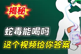 揭秘：蛇毒能喝吗？有人做了相关的实验，答案出人意料。解谜神剧视频封面