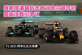阿布扎比大奖赛：维斯塔潘最后击败汉密尔顿夺冠，国际汽联引争议视频封面