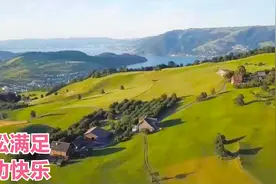 潺潺流水声是大自然最美的音符。培养人类直觉和天赋智慧。视频封面