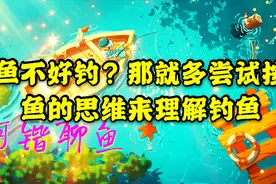鱼爱吃什么？自己尝尝就知道了 按鱼的思维来理解钓鱼 阿锴聊鱼12视频封面
