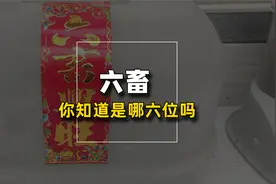 六畜兴旺，六畜具体指哪六种动物呢？视频封面