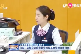 山东省下发省级企业应急转贷引导基金管理办法，构建应急转贷平台视频封面