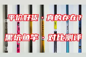 黑坑鱼竿低于1000元就是垃圾？专业测评帮你选出平价好货！