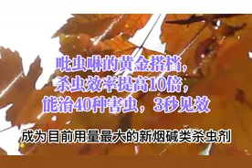 吡虫啉的黄金搭档，杀虫效率提高10倍，能治40种害虫，3秒见效视频封面