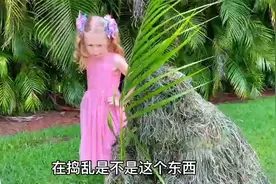 被藏起来的爸爸给偷走了，宝贝手工制作好玩的彩泥视频封面