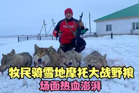 野狼偷袭牧民爱马，牧民骑雪地摩托奋起反击，雪原大战西伯利亚狼视频封面