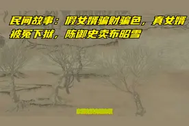 民间故事：假女婿骗财骗色，真女婿被冤下狱，陈御史卖布昭雪视频封面