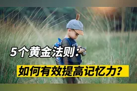 如何有效提高记忆力？5个黄金法则，让你记忆力飙升