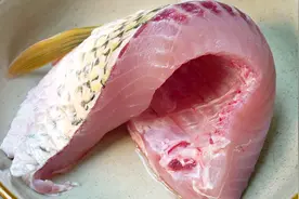 草鱼腩这种广式吃法真好吃，简单营养又便宜，上桌汤汁连都不剩