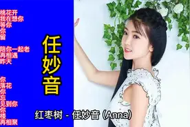 任妙音甜歌精选20首大联唱视频封面