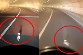 车兔赛跑！司机高速公路上发现兔子，奔跑速度惊呆网友视频封面