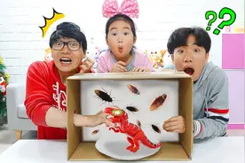 韩国宝蓝玩触摸盲盒挑战！猜猜盒子里有什么？赢取惊喜礼物吧！视频封面