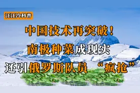 中国技术再突破，南极种菜成现实，还引俄罗斯队员 “疯狂抢购”视频封面