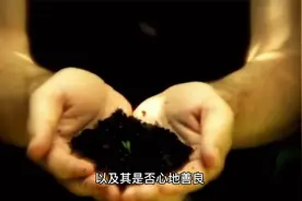 教你怎么看面相：面相基础图解