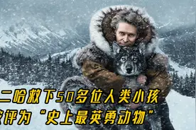 超感人真实故事，一条狗狗救下一座城，被时代周刊评为最英勇动物视频封面