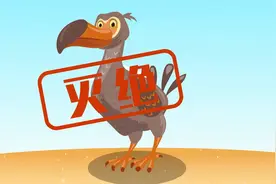 渡渡鸟的灭绝，差点把这种树直接带走视频封面