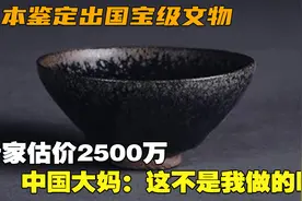日本鉴定国宝级文物，专家估价2500万，中国大妈：这不是我做的吗视频封面