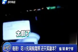 男子花10元网购驾照被查 民警笑了：你还只买驾驶证副页